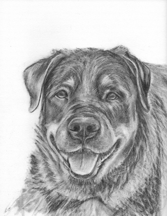 Stanley 