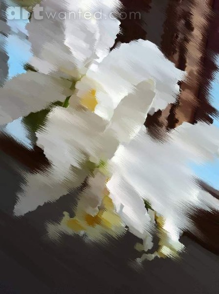 orchid2