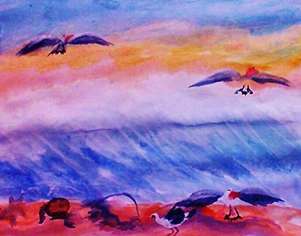 Invasion of the Sea gulls