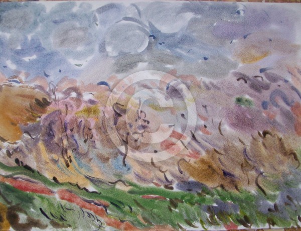 landscape