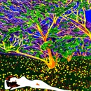 Girl Lying In Meadow 72ppi