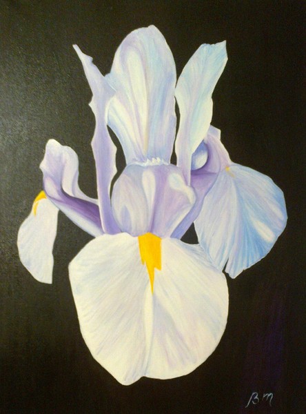 Iris