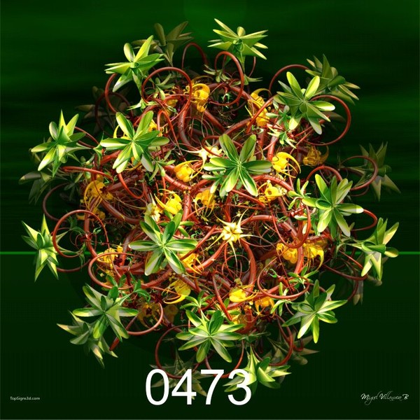 0473 Flower