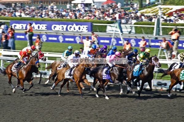 Breeder's Cup