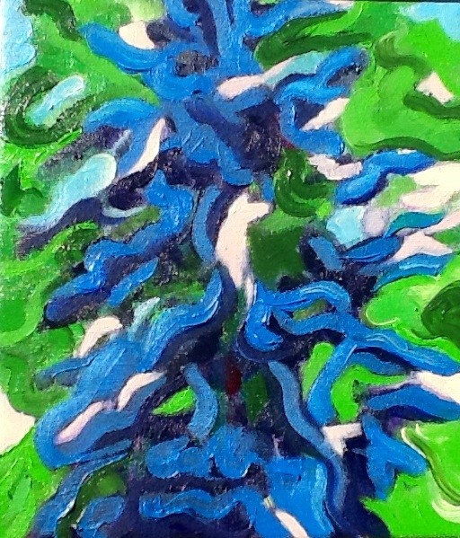 Spruce