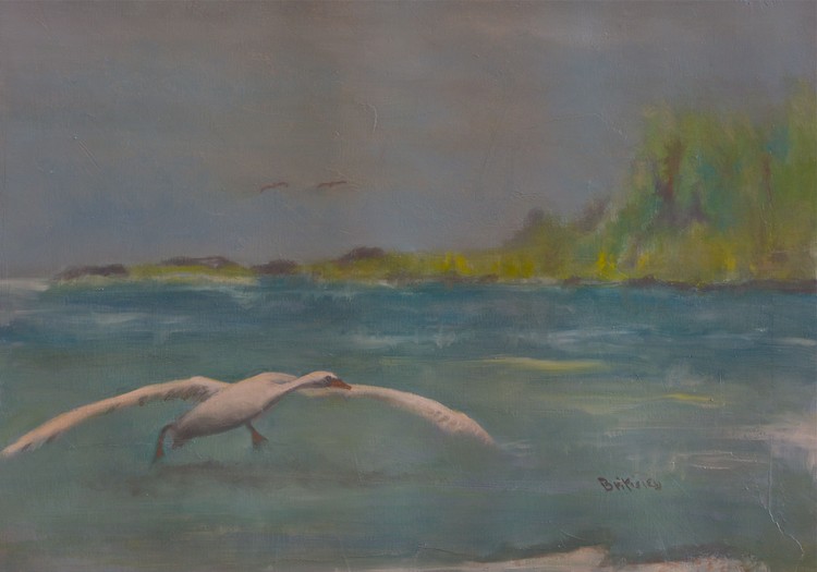 landing