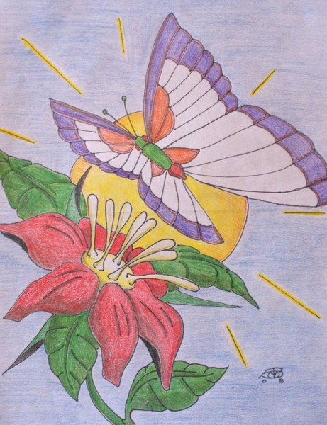butterfly