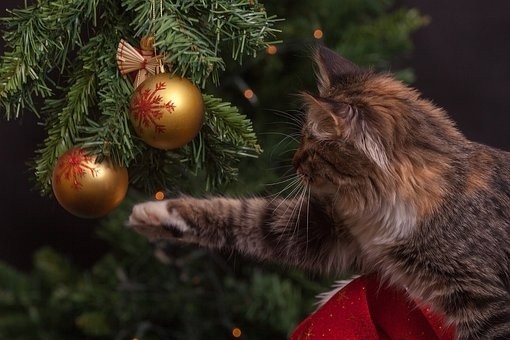 christmas (20)