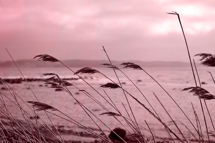 Just Breathe