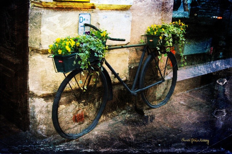 Re-Cycle