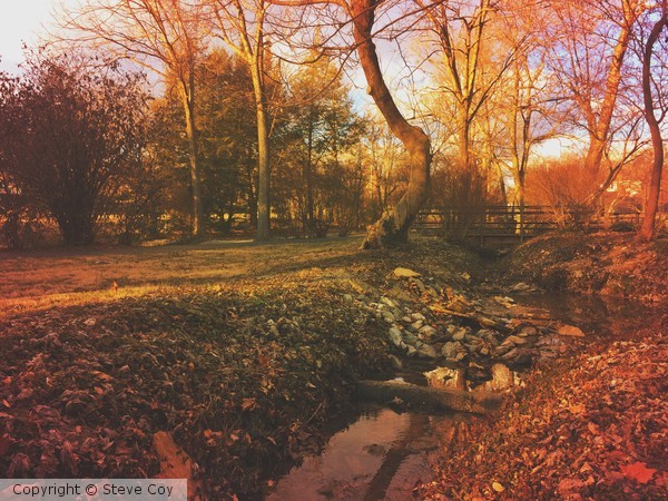 A Walk by the Creek
