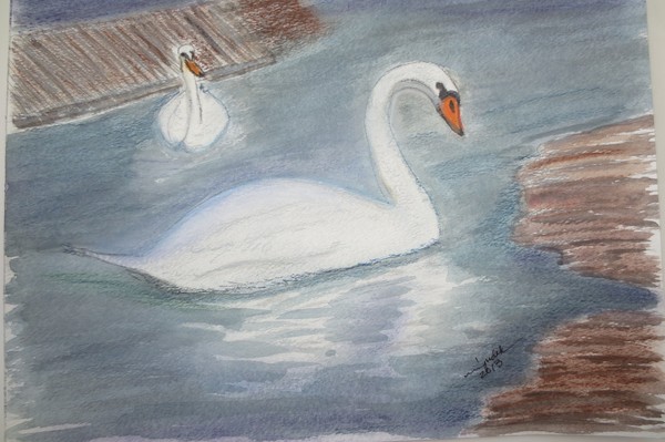 Two Swans