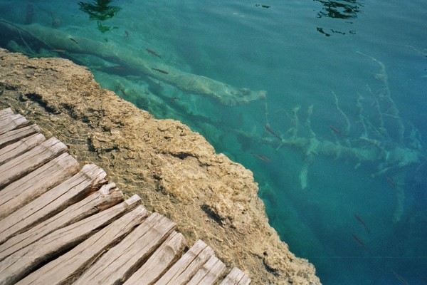 Lagune Bridge I