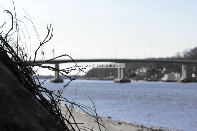 Sandy Hook Bridge from bayside