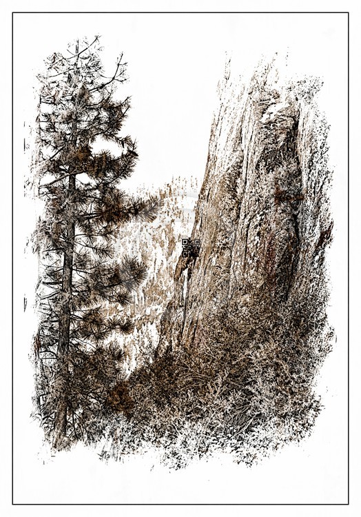 Emerald Bay 1