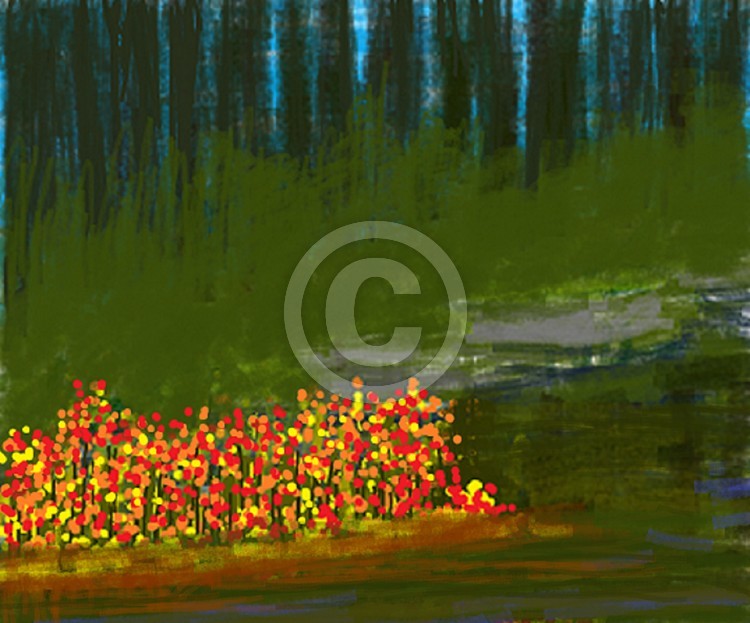 beautiful Woods 1