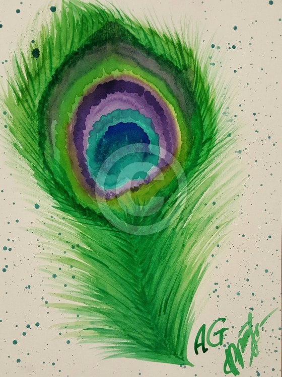 Peacock life