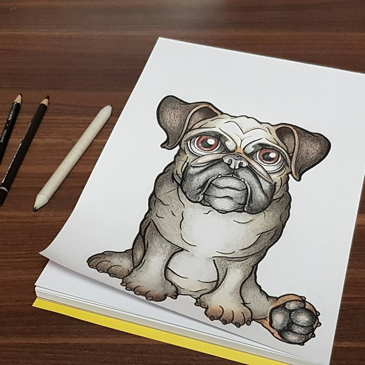 Pug