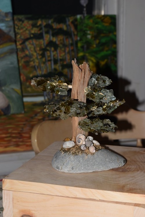 beach glass drift wood tree 1