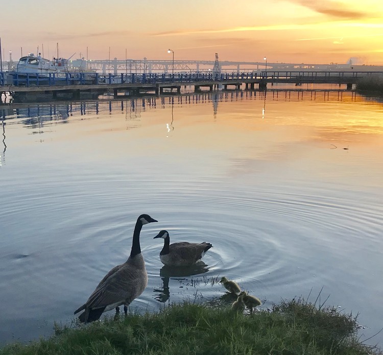 Martinez Marina Dawn in the Spring - April 2018