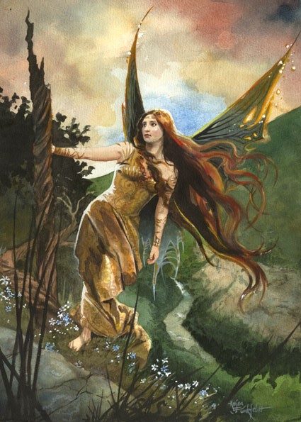Folowing The Wind