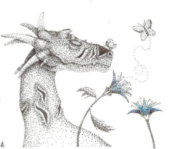 The Dragon and the Butterfly