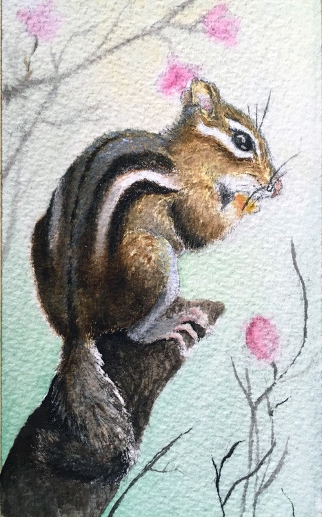 Chipmunk