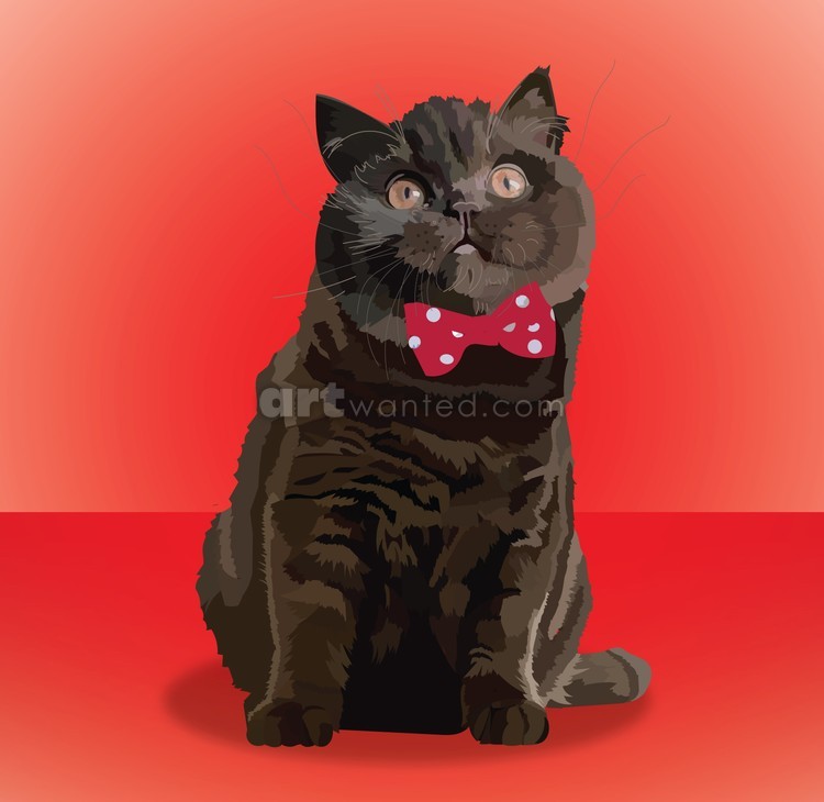 British Shorthairs cat breed
