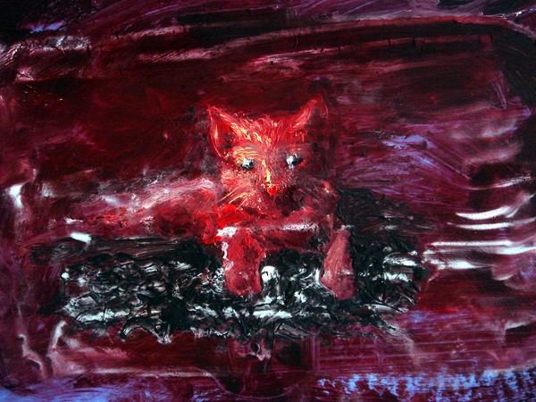 Red cat