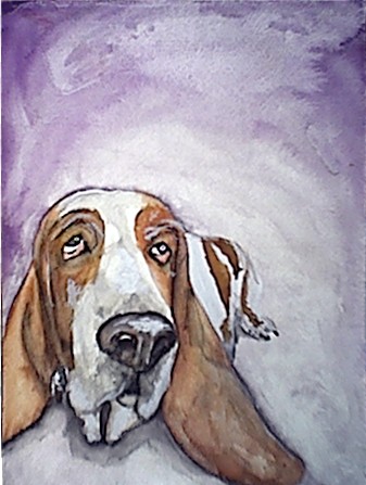 I am a hound Dog