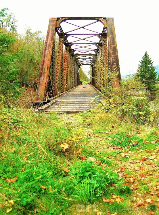 Bridge to No land