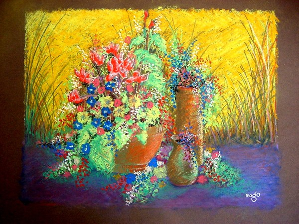 Flowers & Pots