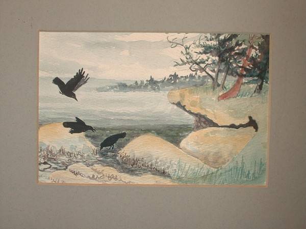 crows  at the beach