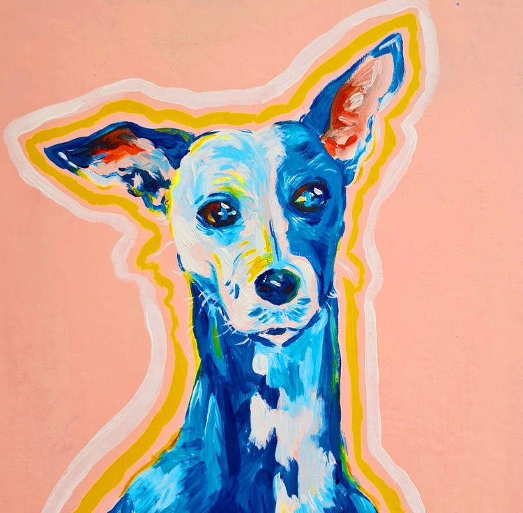 Portrait of a Whippet