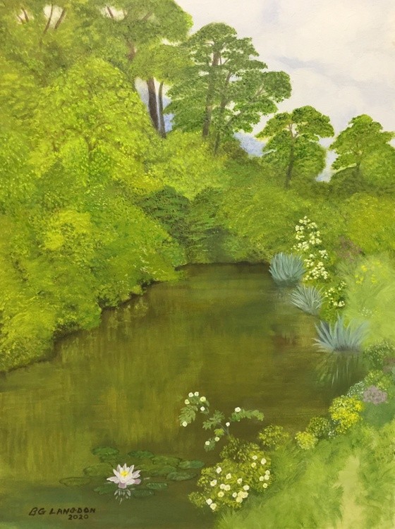 Lilly Pond