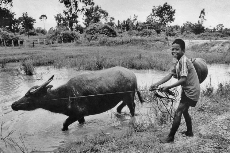 A boy in Thailand