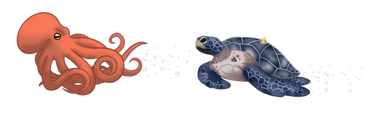 turt pattern