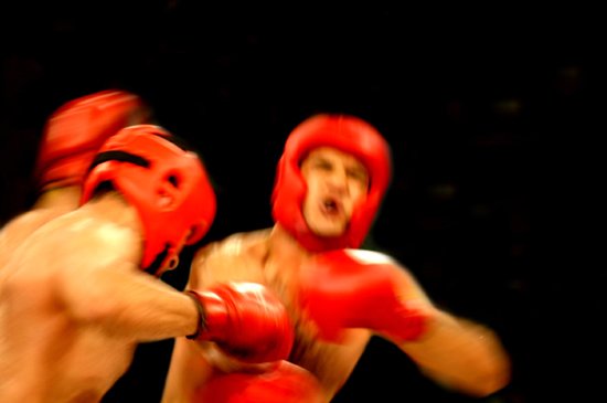 fight!