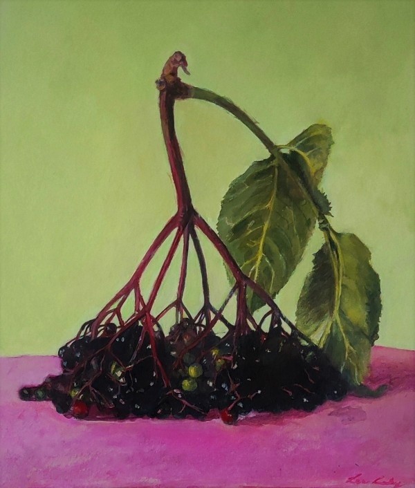 Black Lilac 