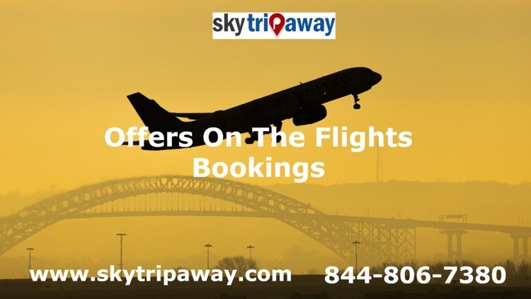Deals on the flights bookings 