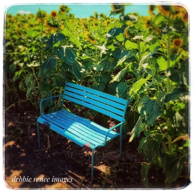 Stay awhile...