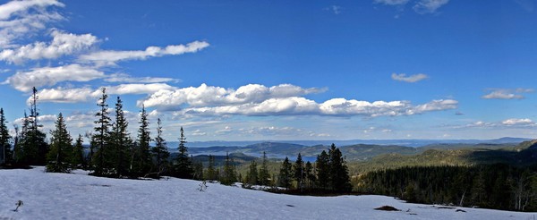 From white snow to green forest