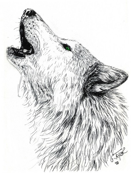 Wolf Howling Pencil Drawing : Lua Lobos Tatuagem Tatuaje Tinder ...