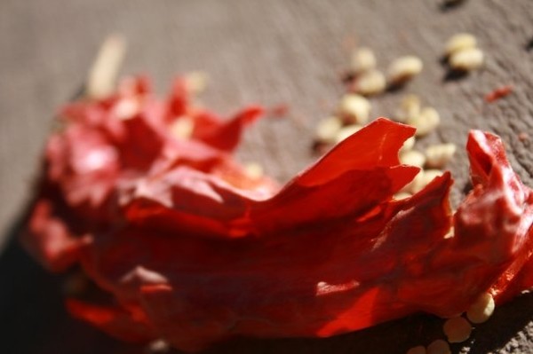 Pepper