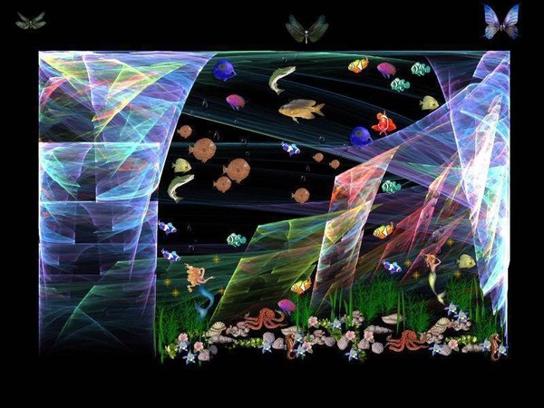 A Fun Fish Tank.