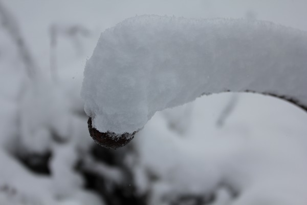 Snow