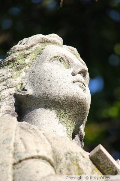 Looking UP 