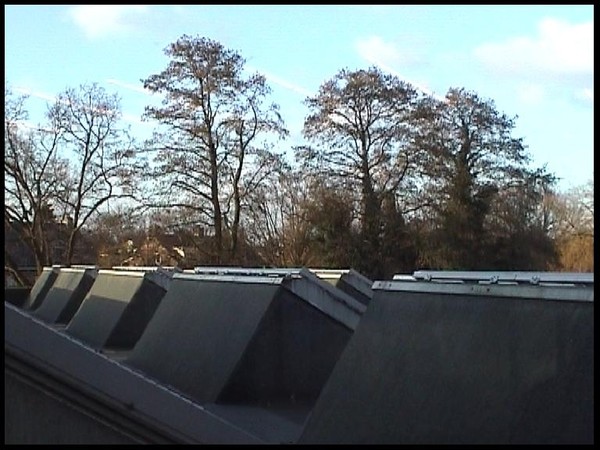 Across the COBRA Roof