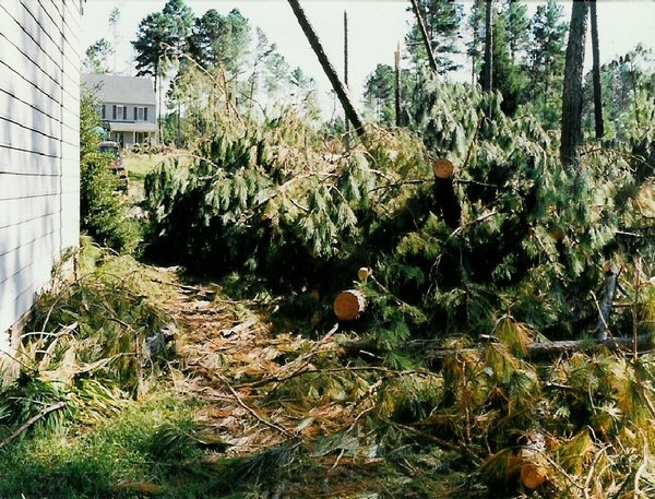 MORE OF AFTER HURRICANE FRAN HIT MY DAUGHTER'S.