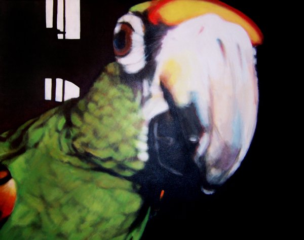 Parrot